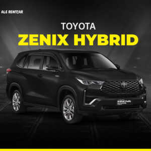 ZENIX HYBRID